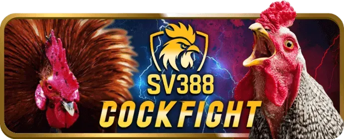 Chương trình hoàn trả hàng tuần