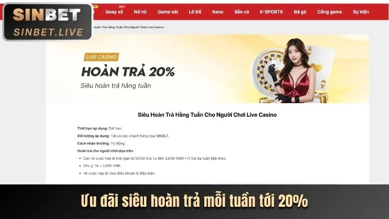 Hoàn trả tiền cược hàng tuần tại vn588 casino